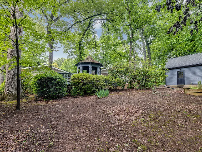 Back yard