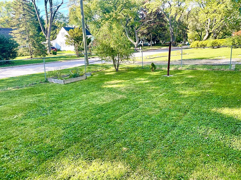 Home Back yard