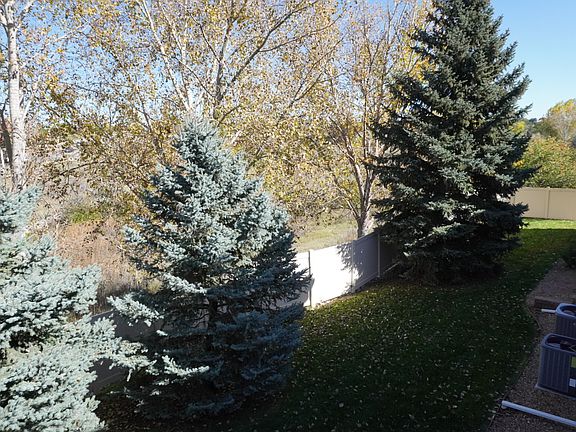 Grass Behind Condo (not fenced in)