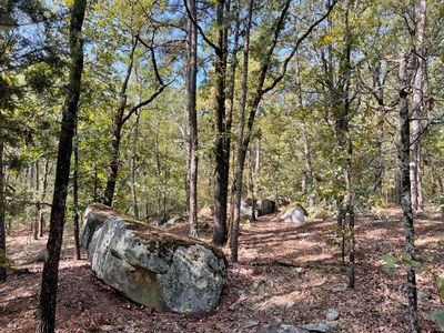 Lots 58 84 Hwy #2, Antlers, OK, 74523