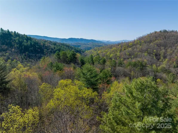 Tbh Alf Branch Dr, Marble, NC 28905