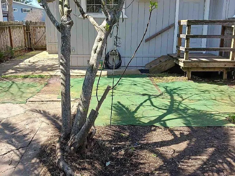 1482 Ash St — Photo 3