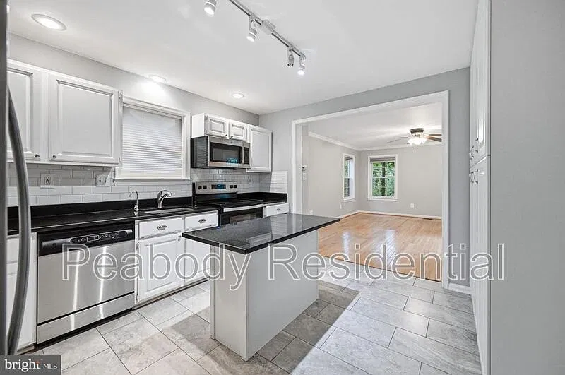 Reston Association — Photo 4
