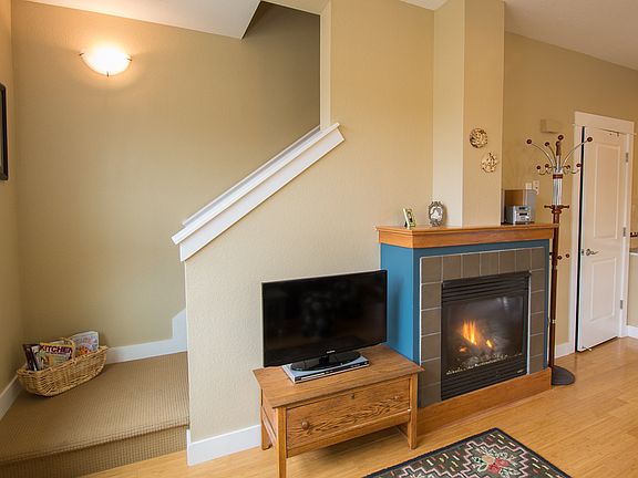 Gas fireplace