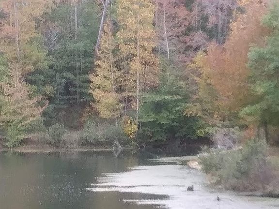 4th image of 5633 Hulseytown Rd