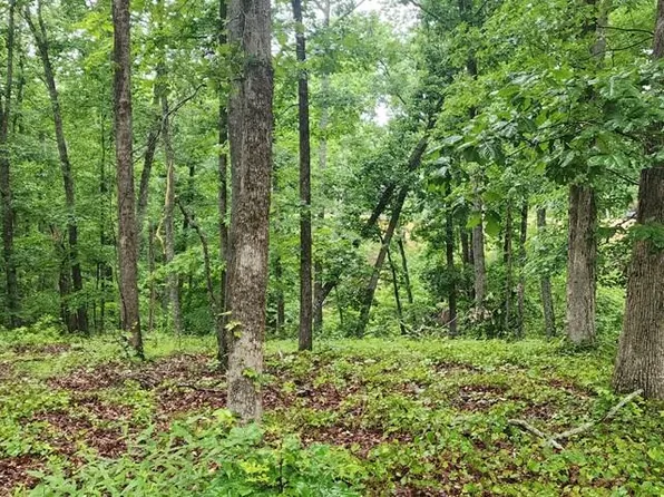0 Dixie Cv, Holladay, TN 38341