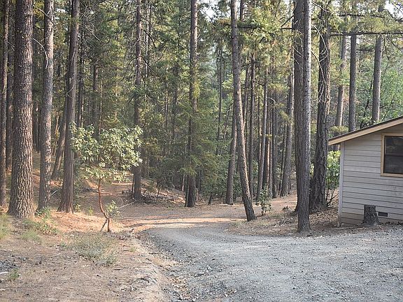 Driveway to back yard/garden