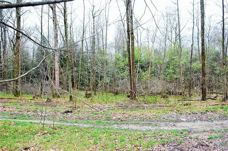 2nd image of 2455 Horsecreek Rd