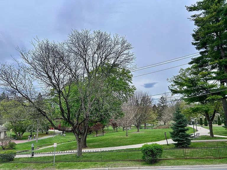 Congress park on the front side of building