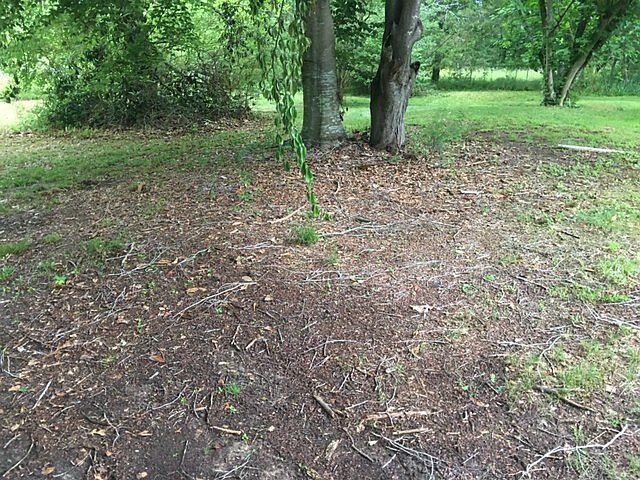 2nd image of 3320 Butner Rd SW #0