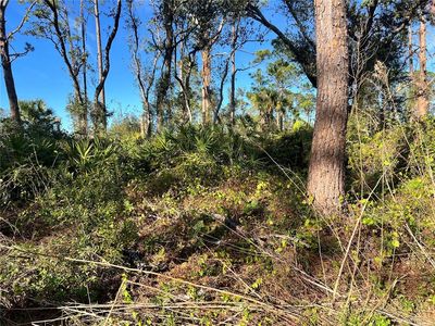 LOT 5 Gravelmann Rd Lot 5, North Pt, FL, 34291