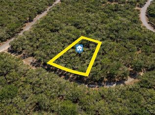 8375 N Joiner Way, Citrus Springs, FL 34434