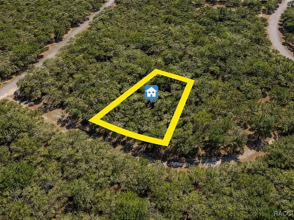 8375 N Joiner Way, Citrus Springs, FL 34434