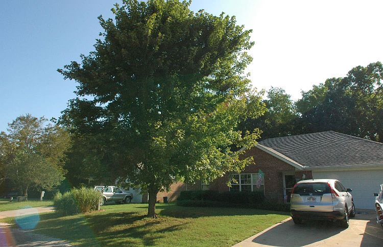 20750 Lakeshore Drive