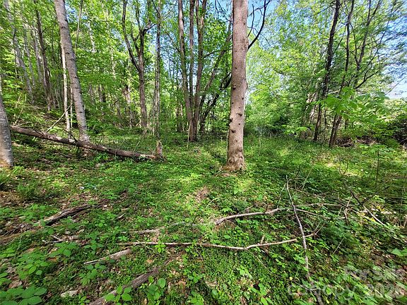 5th image of 0 Fox Run Rd