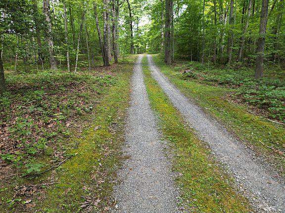 3rd image of 4244 Paynes Mill Rd