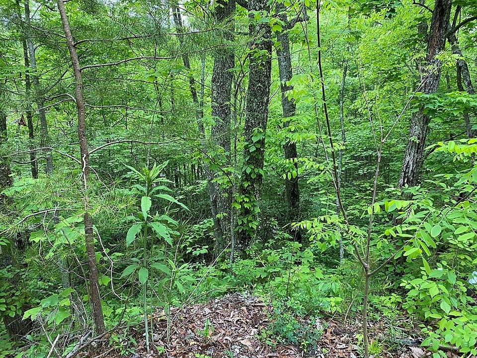 2nd image of 11 Black Oak Dr Lot 11