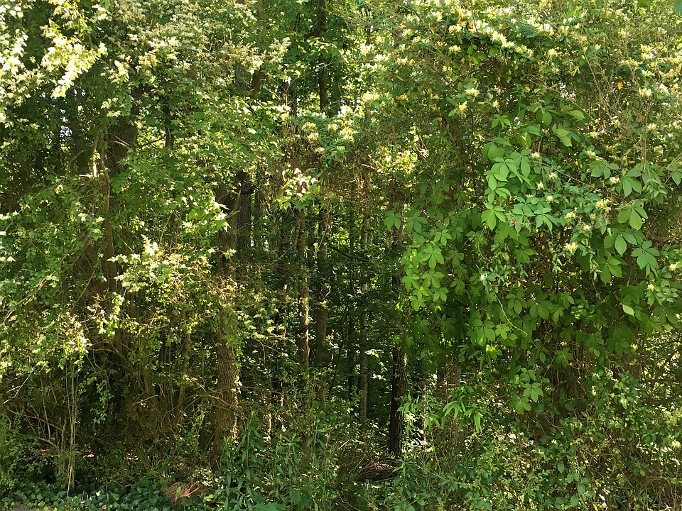 2nd image of 2678 Irene Cir