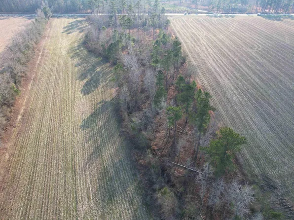 LOT 29 Gulley Ln., Salters, SC 29590