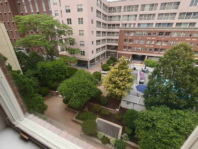 25 Marion St #44 — Photo 15