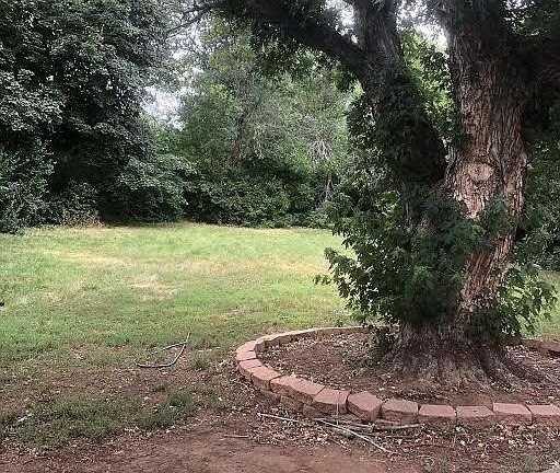 back yard from deck - 1/3 acre property & fence goes beyond trees and shrubs