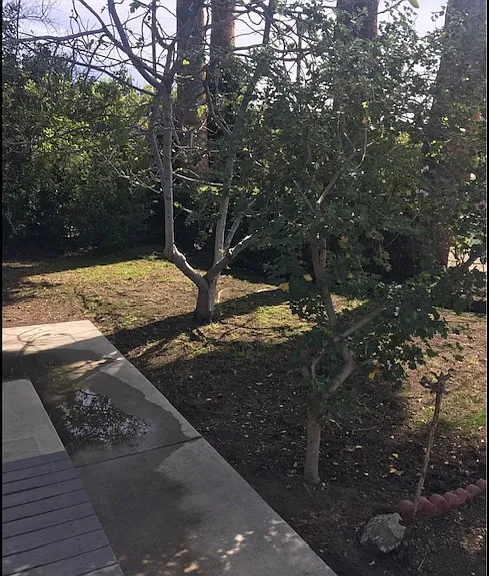 5729 Bertrand Ave — Photo 8