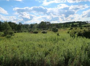 LOT 3 German Rd LOT 3, Willet, NY 13863