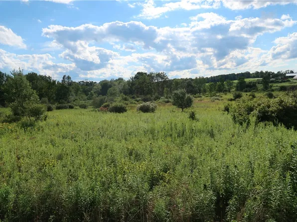 LOT 3 German Rd Lot 3, Willet, NY 13863