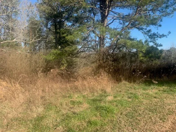 0 County Road 818, Logan, AL 35098
