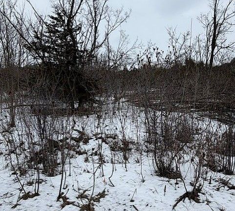 5th image of LOT 4 Lakefield Rd