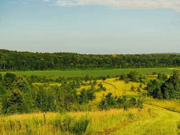 1037 County Road 300, Oxford, MS 38914