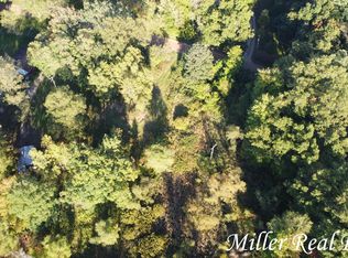 14980 Jenkins Rd, Bellevue, MI 49021