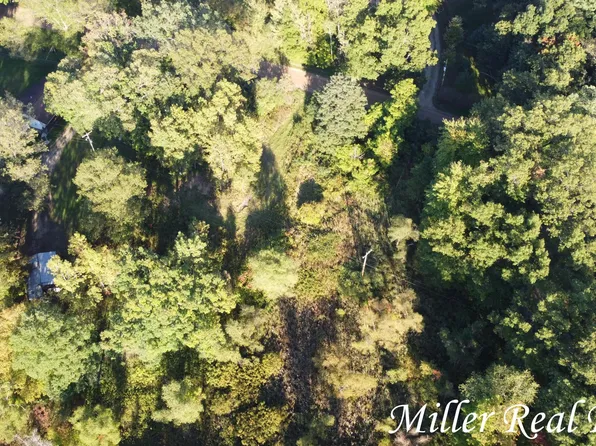 14980 Jenkins Rd, Bellevue, MI 49021