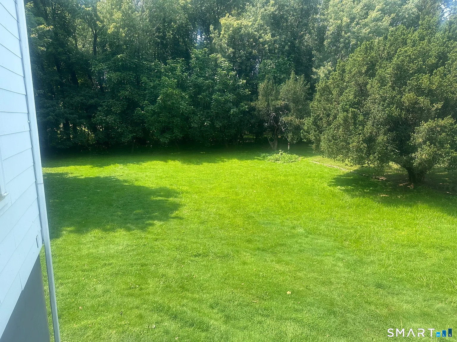 2 bed, 1.0 bath, 1671 sqft, $1,895 — Photo 3