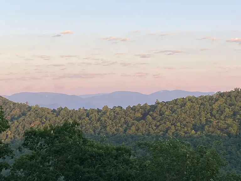 Early morning coffee view from the main deck while the forest is just waking up!