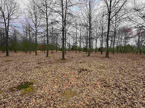 4th image of 30R River Birch Dr