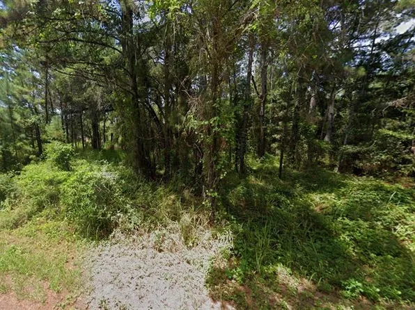 Oak Lane Trak #31, Ocala, FL 34472