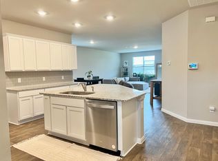 169 Apache Plum Dr, Kyle, TX 78640