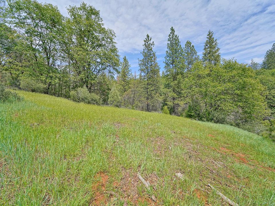 3609 Red Dog Dr, Camino, CA 95709 MLS 222059146 Zillow