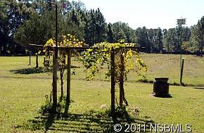 5th image of 3654 Pampus Nursery Rd
