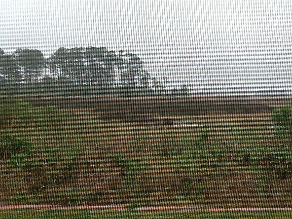 View from lanai