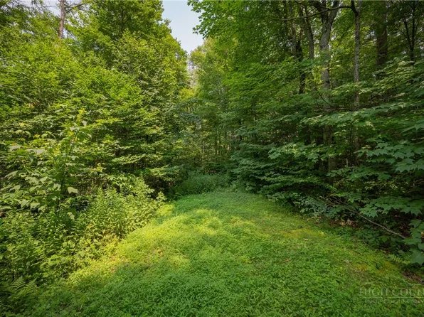 Lot 24 Linville River Drive, Linville, NC 28646