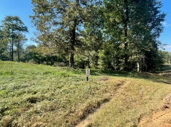 5 Clear Creek Trl, Ellijay, GA 30536