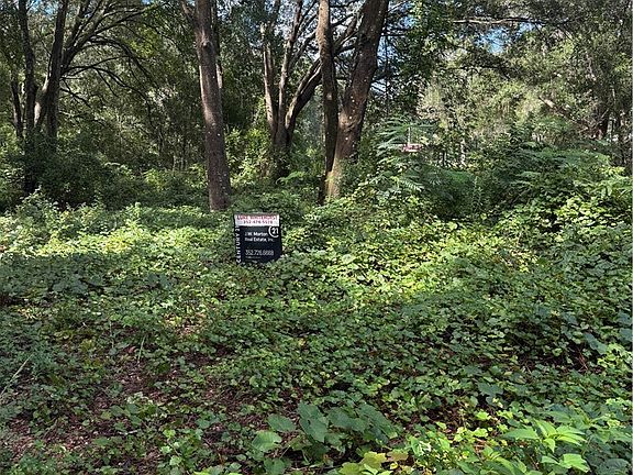 2nd image of 0 NE 164th Ln