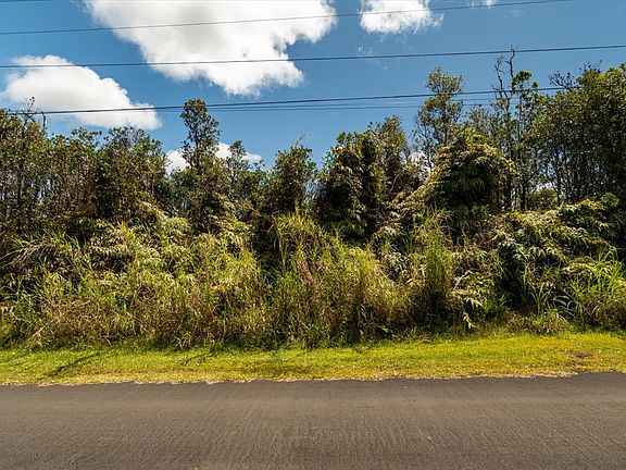 3rd image of Anthurium St Lot 8192