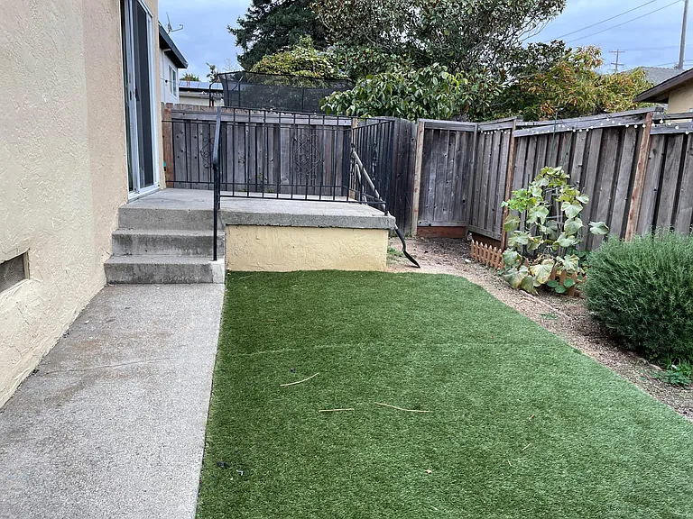 Yard and Patio