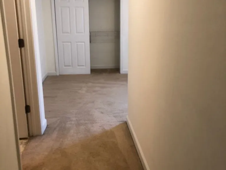 701 Harts Cove Way — Photo 12