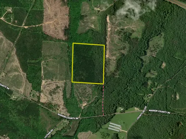 0 County Road 94, Hamilton, AL 35570
