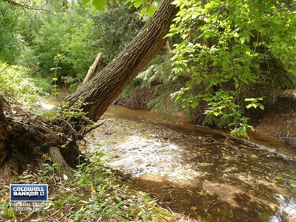 Alt View Backyard Creek