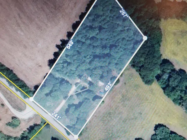 297 McIllwain Rd N, Holladay, TN 38341
